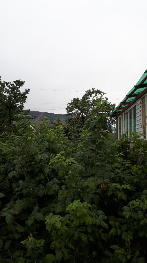 ホテル Nurgul Bokonbayevo エクステリア 写真