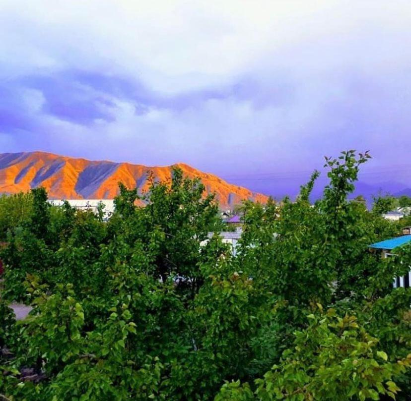 ホテル Nurgul Bokonbayevo エクステリア 写真